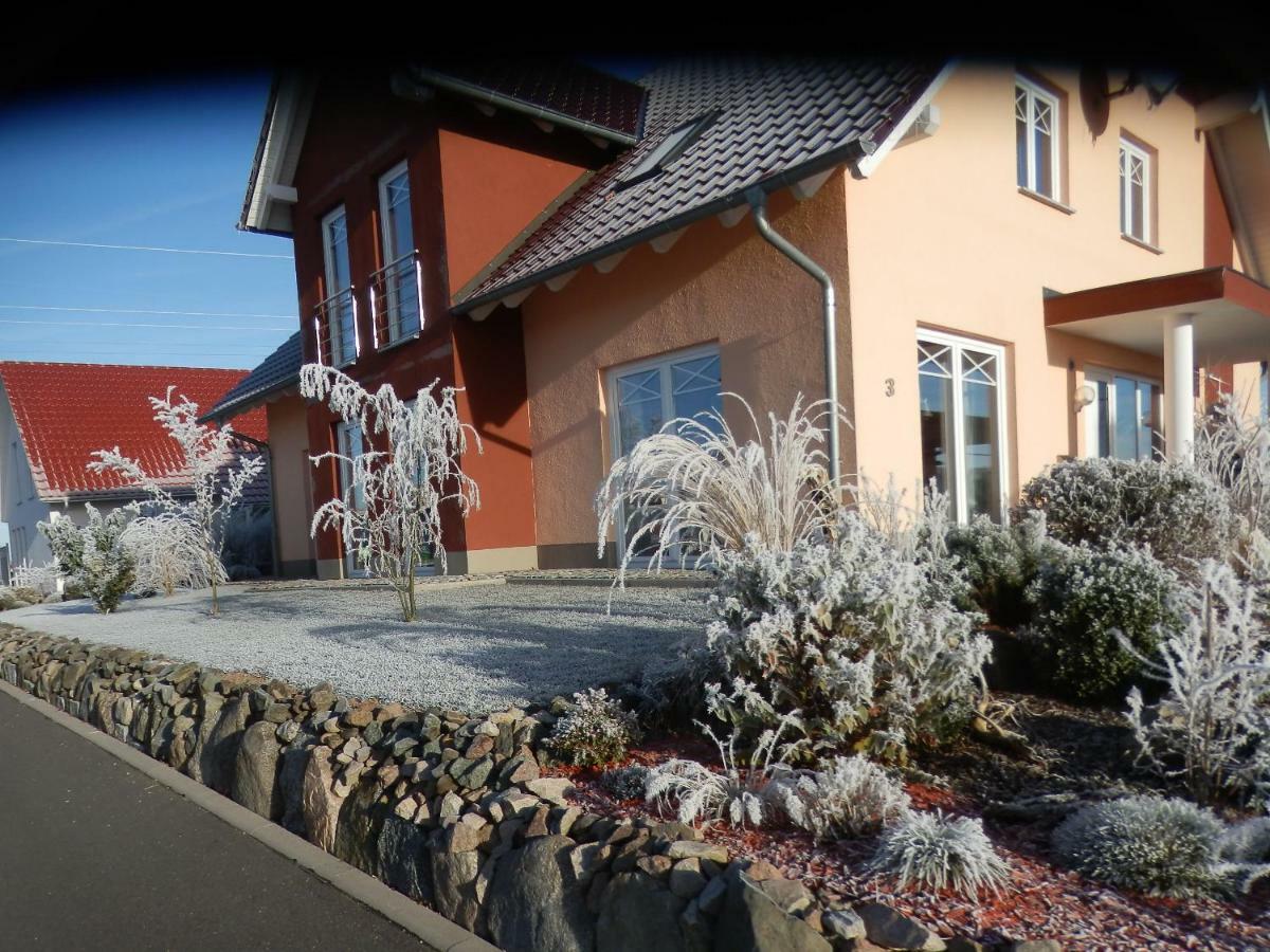 Haus Fernblick Lägenhet Breitungen  Exteriör bild